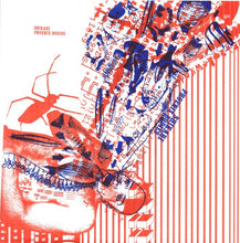 Load image into Gallery viewer, Shikari / Phoenix Bodies Split 7 Inch vinyl
