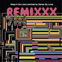 Load image into Gallery viewer, The Dandy Warhols ‎– Wasp In The Lotus 7 Inch
