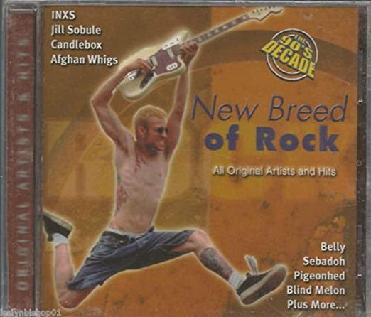 The 90's Decade - A New Breed Of Rock CD (NEW)