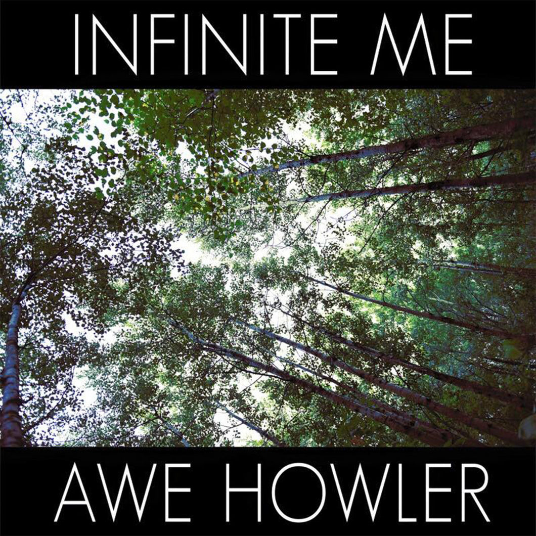 Infinite Me / Awe Howler Split EP Cassette Tape